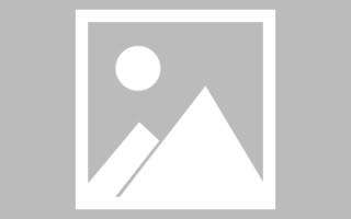 温县编制网站建设（编制网站建设包括哪些）